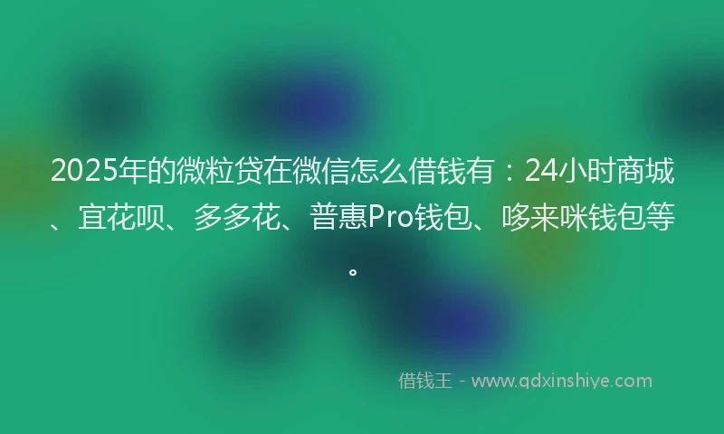 2025年的微粒贷在微信怎么借钱有：24小时商城、宜花呗、多多花、普惠Pro钱包、哆来咪钱包等。
