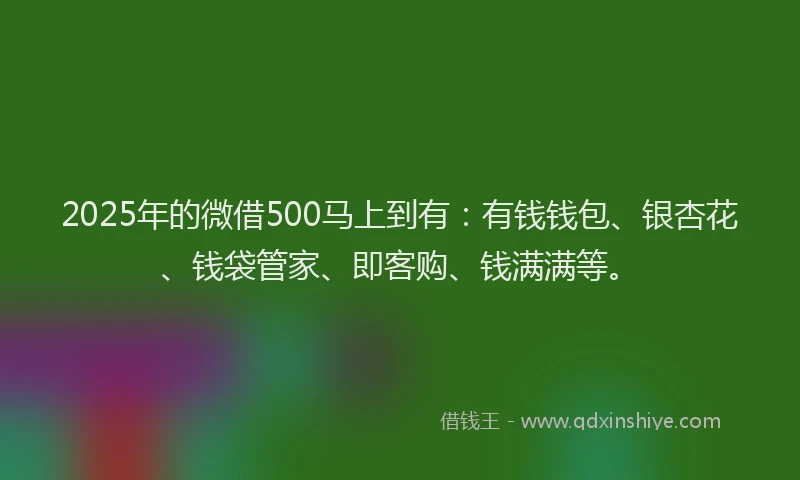 2025年的微借500马上到有：有钱钱包、银杏花、钱袋管家、即客购、钱满满等。
