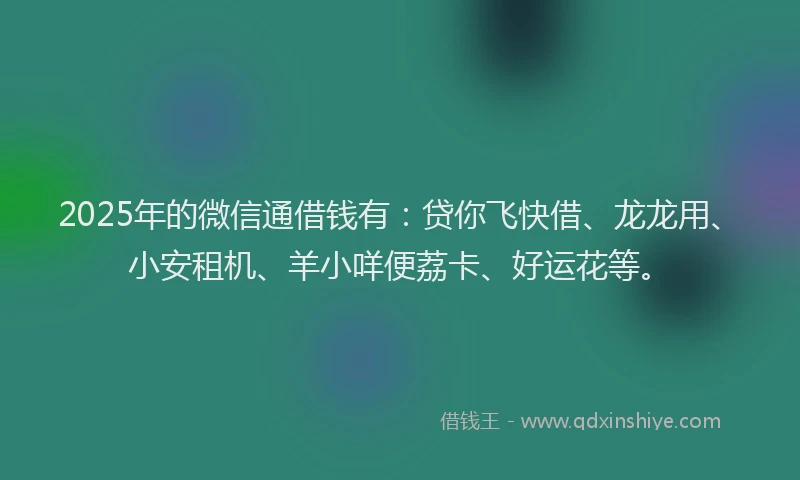 2025年的微信通借钱有：贷你飞快借、龙龙用、小安租机、羊小咩便荔卡、好运花等。