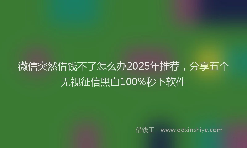 微信突然借钱不了怎么办2025年推荐，分享五个无视征信黑白100%秒下软件