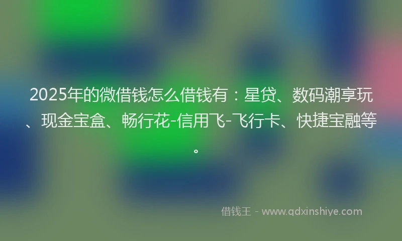 2025年的微借钱怎么借钱有：星贷、数码潮享玩、现金宝盒、畅行花-信用飞-飞行卡、快捷宝融等。