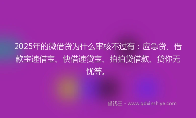 2025年的微借贷为什么审核不过有：应急贷、借款宝速借宝、快借速贷宝、拍拍贷借款、贷你无忧等。