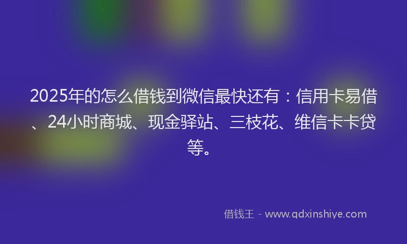 2025年的怎么借钱到微信最快还有：信用卡易借、24小时商城、现金驿站、三枝花、维信卡卡贷等。