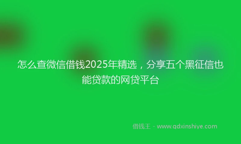 怎么查微信借钱2025年精选，分享五个黑征信也能贷款的网贷平台