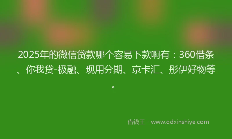 2025年的微信贷款哪个容易下款啊有：360借条、你我贷-极融、现用分期、京卡汇、彤伊好物等。