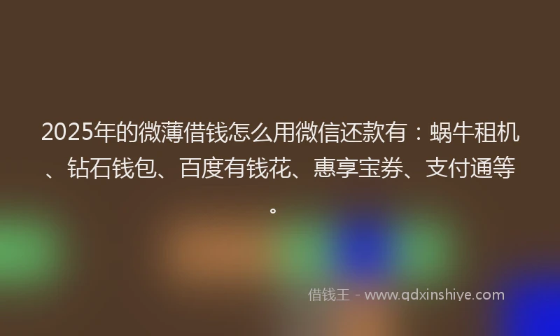 2025年的微薄借钱怎么用微信还款有：蜗牛租机、钻石钱包、百度有钱花、惠享宝券、支付通等。