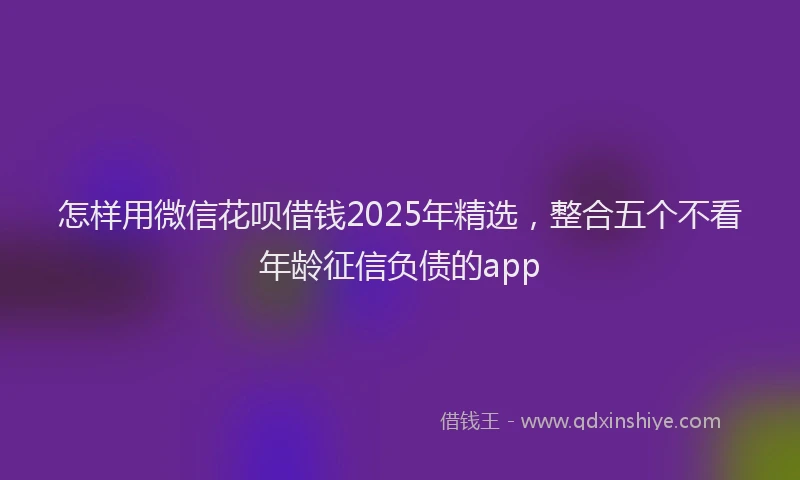 怎样用微信花呗借钱2025年精选，整合五个不看年龄征信负债的app