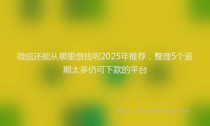 微信还能从哪里借钱呢2025年推荐，整理5个逾期太多仍可下款的平台