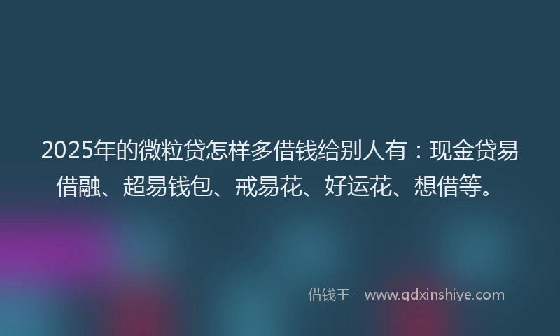 2025年的微粒贷怎样多借钱给别人有：现金贷易借融、超易钱包、戒易花、好运花、想借等。