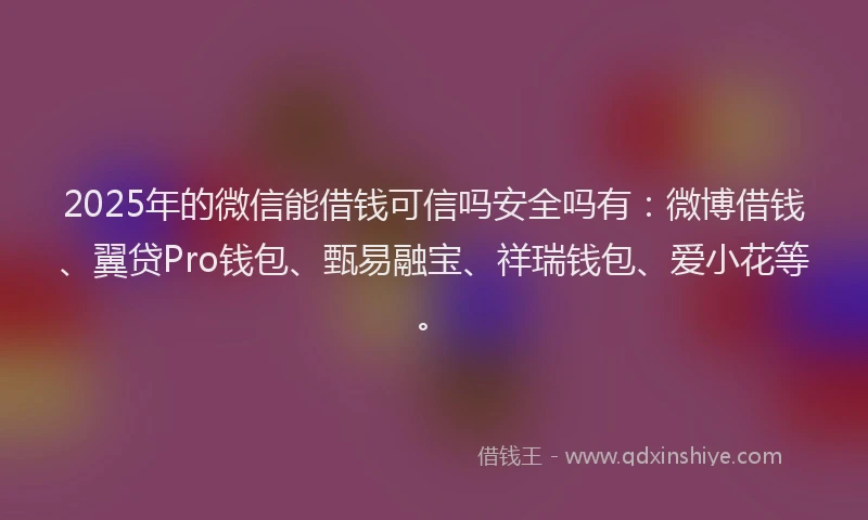 2025年的微信能借钱可信吗安全吗有：微博借钱、翼贷Pro钱包、甄易融宝、祥瑞钱包、爱小花等。