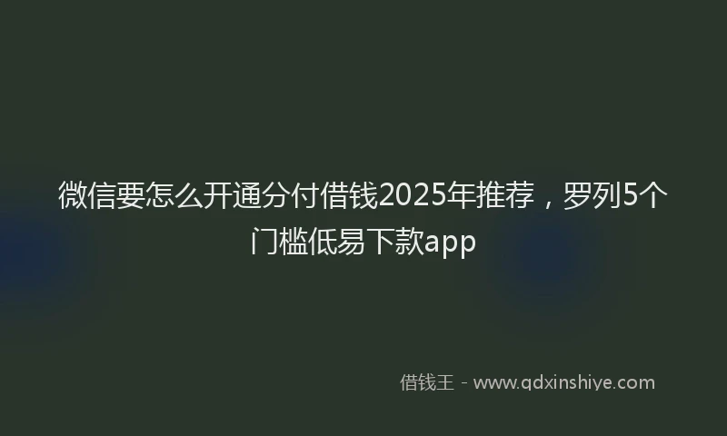 微信要怎么开通分付借钱2025年推荐，罗列5个门槛低易下款app