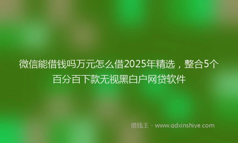 微信能借钱吗万元怎么借2025年精选，整合5个百分百下款无视黑白户网贷软件