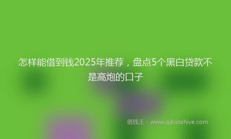 怎样能借到钱2025年推荐，盘点5个黑白贷款不是高炮的口子