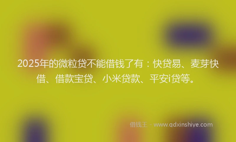 2025年的微粒贷不能借钱了有：快贷易、麦芽快借、借款宝贷、小米贷款、平安i贷等。