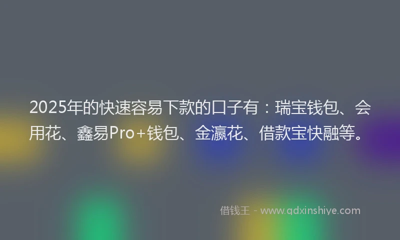 2025年的快速容易下款的口子有：瑞宝钱包、会用花、鑫易Pro+钱包、金瀛花、借款宝快融等。