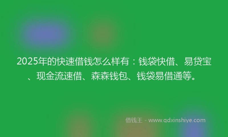 2025年的快速借钱怎么样有：钱袋快借、易贷宝、现金流速借、森森钱包、钱袋易借通等。