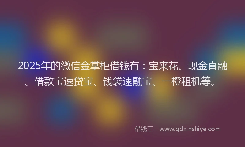 2025年的微信金掌柜借钱有：宝来花、现金直融、借款宝速贷宝、钱袋速融宝、一橙租机等。