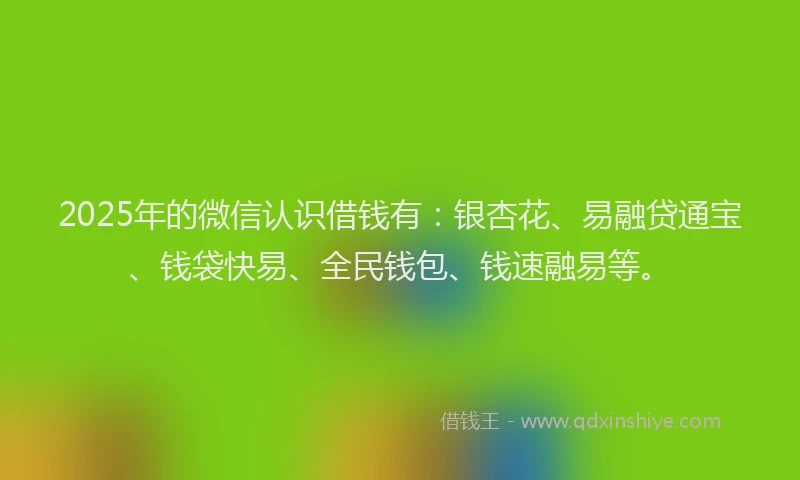 2025年的微信认识借钱有：银杏花、易融贷通宝、钱袋快易、全民钱包、钱速融易等。