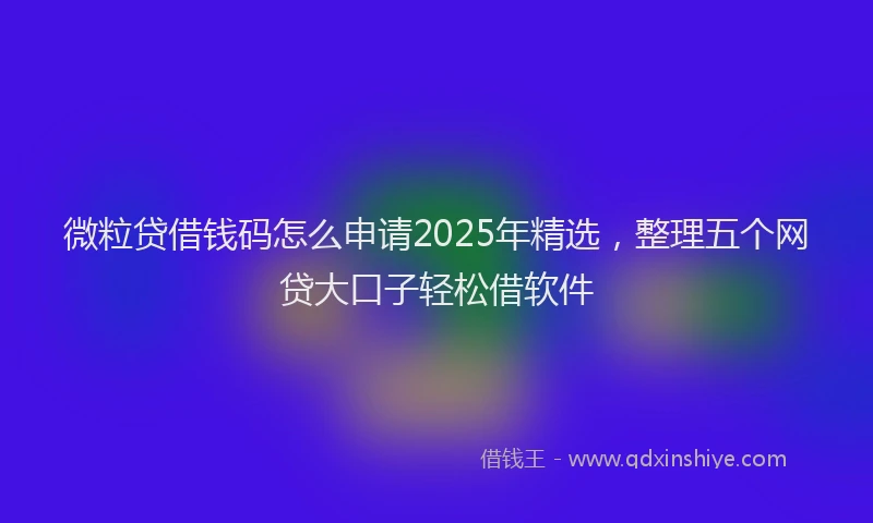 微粒贷借钱码怎么申请2025年精选，整理五个网贷大口子轻松借软件