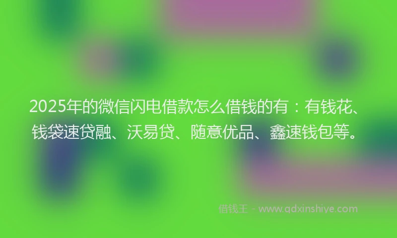 2025年的微信闪电借款怎么借钱的有：有钱花、钱袋速贷融、沃易贷、随意优品、鑫速钱包等。