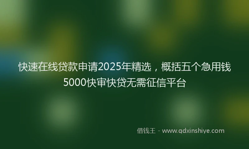 快速在线贷款申请2025年精选，概括五个急用钱5000快审快贷无需征信平台