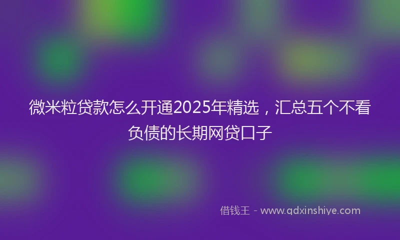 微米粒贷款怎么开通2025年精选，汇总五个不看负债的长期网贷口子