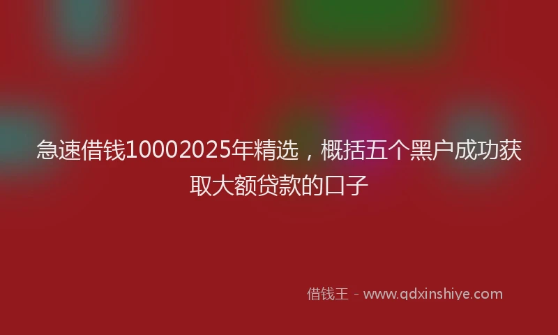 急速借钱10002025年精选，概括五个黑户成功获取大额贷款的口子