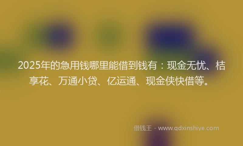 2025年的急用钱哪里能借到钱有：现金无忧、桔享花、万通小贷、亿运通、现金侠快借等。