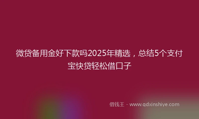微贷备用金好下款吗2025年精选，总结5个支付宝快贷轻松借口子