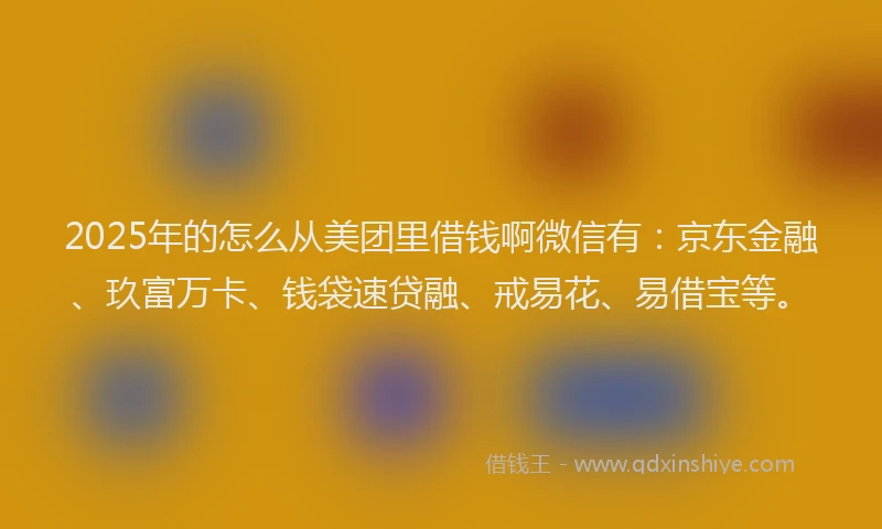 2025年的怎么从美团里借钱啊微信有：京东金融、玖富万卡、钱袋速贷融、戒易花、易借宝等。