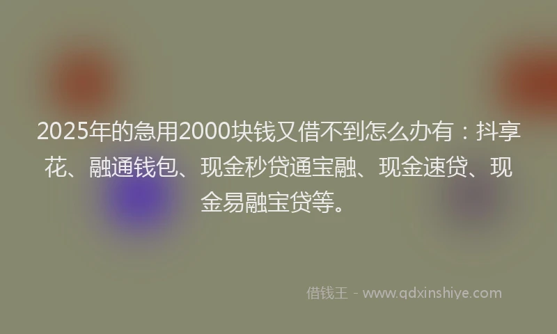 2025年的急用2000块钱又借不到怎么办有：抖享花、融通钱包、现金秒贷通宝融、现金速贷、现金易融宝贷等。