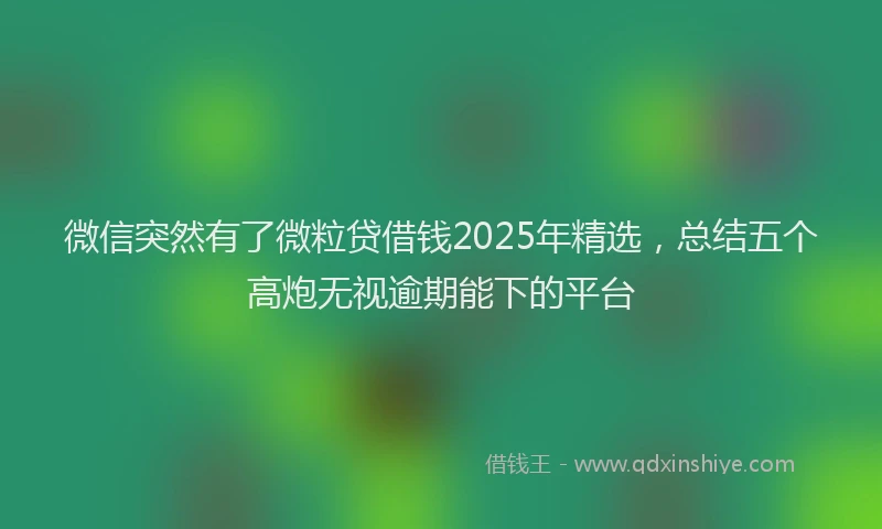 微信突然有了微粒贷借钱2025年精选，总结五个高炮无视逾期能下的平台