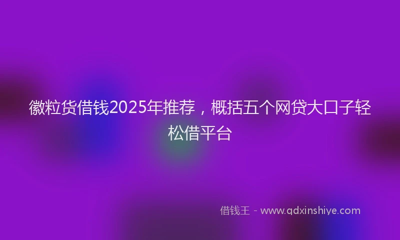 徽粒货借钱2025年推荐，概括五个网贷大口子轻松借平台