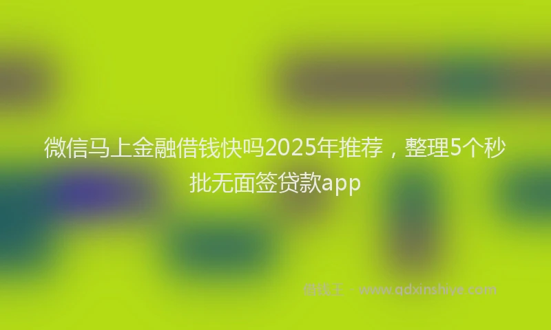 微信马上金融借钱快吗2025年推荐，整理5个秒批无面签贷款app
