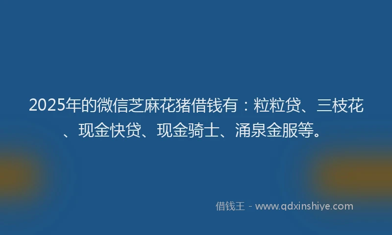 2025年的微信芝麻花猪借钱有：粒粒贷、三枝花、现金快贷、现金骑士、涌泉金服等。