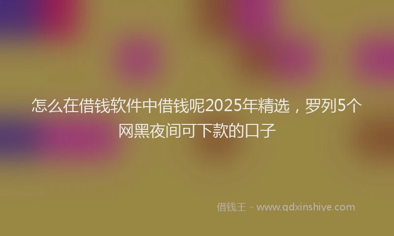 怎么在借钱软件中借钱呢2025年精选，罗列5个网黑夜间可下款的口子