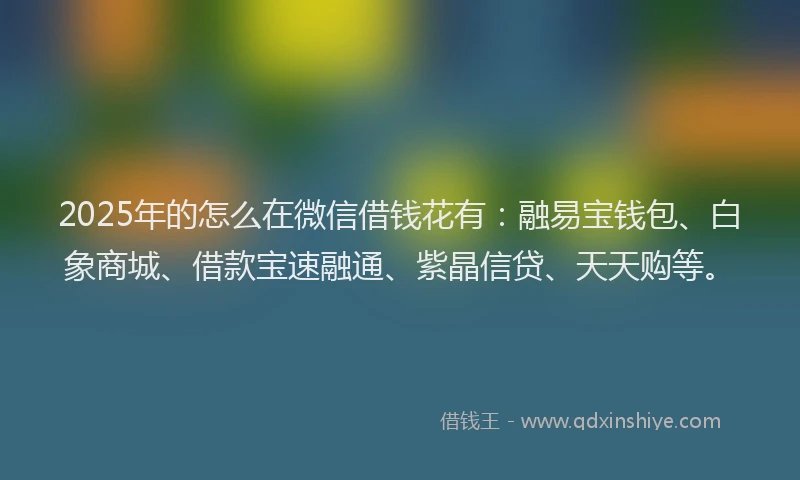 2025年的怎么在微信借钱花有：融易宝钱包、白象商城、借款宝速融通、紫晶信贷、天天购等。