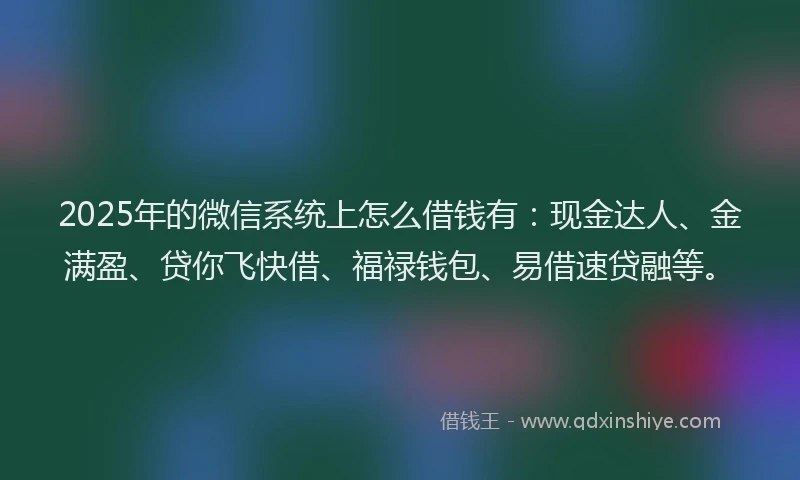 2025年的微信系统上怎么借钱有：现金达人、金满盈、贷你飞快借、福禄钱包、易借速贷融等。
