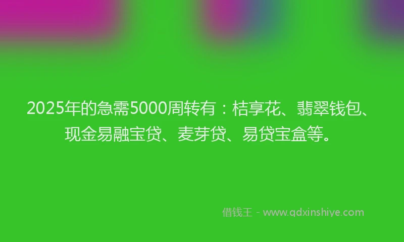 2025年的急需5000周转有：桔享花、翡翠钱包、现金易融宝贷、麦芽贷、易贷宝盒等。