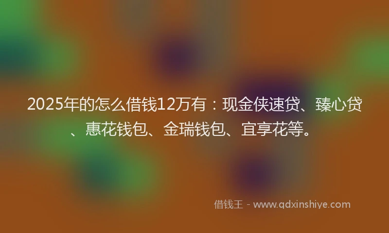 2025年的怎么借钱12万有：现金侠速贷、臻心贷、惠花钱包、金瑞钱包、宜享花等。