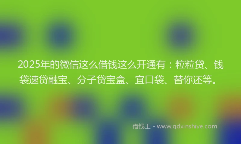 2025年的微信这么借钱这么开通有：粒粒贷、钱袋速贷融宝、分子贷宝盒、宜口袋、替你还等。