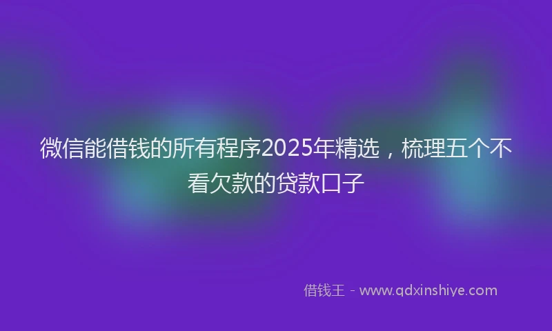 微信能借钱的所有程序2025年精选，梳理五个不看欠款的贷款口子