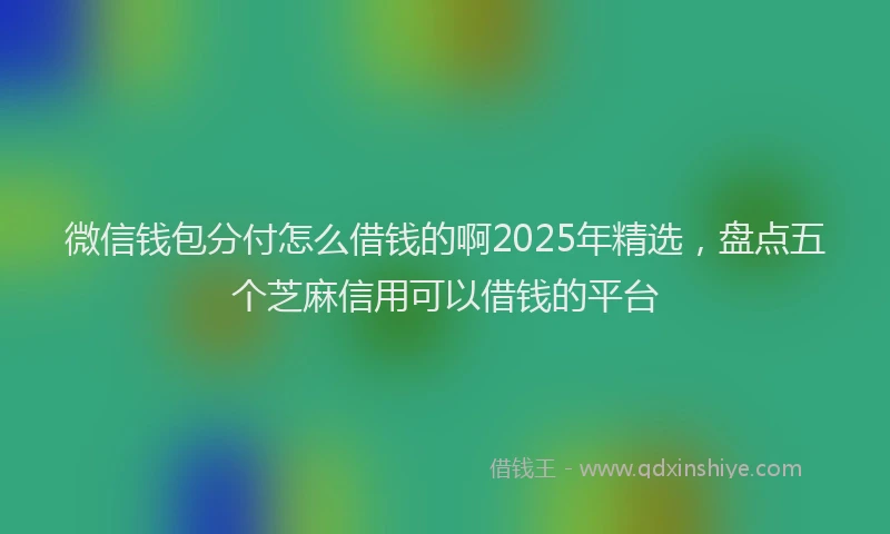 微信钱包分付怎么借钱的啊2025年精选，盘点五个芝麻信用可以借钱的平台