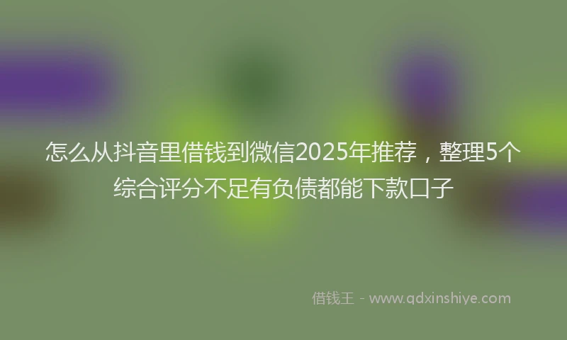 怎么从抖音里借钱到微信2025年推荐，整理5个综合评分不足有负债都能下款口子