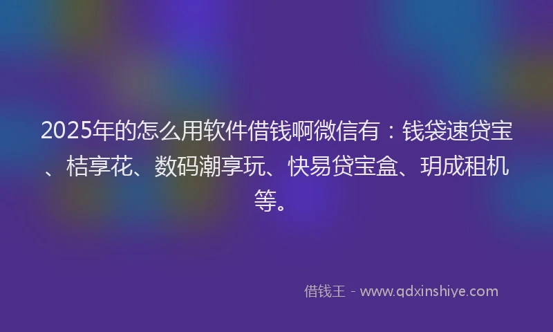 2025年的怎么用软件借钱啊微信有：钱袋速贷宝、桔享花、数码潮享玩、快易贷宝盒、玥成租机等。