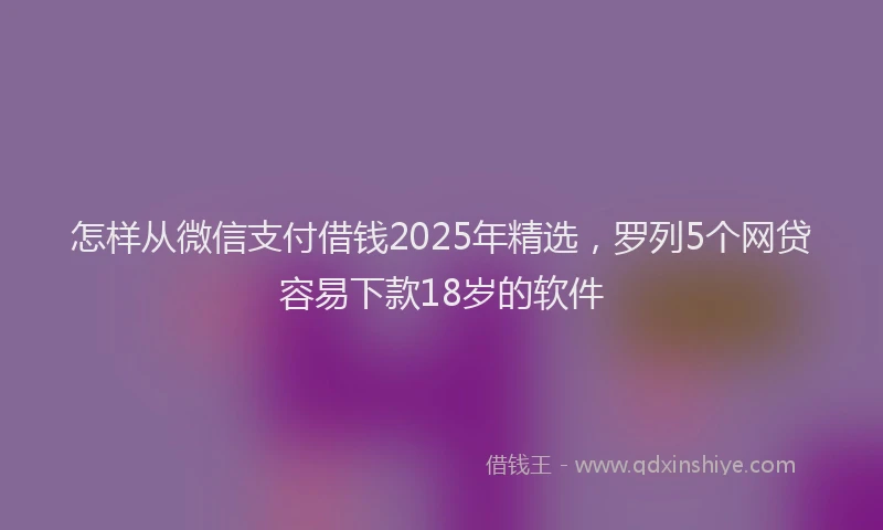 怎样从微信支付借钱2025年精选，罗列5个网贷容易下款18岁的软件
