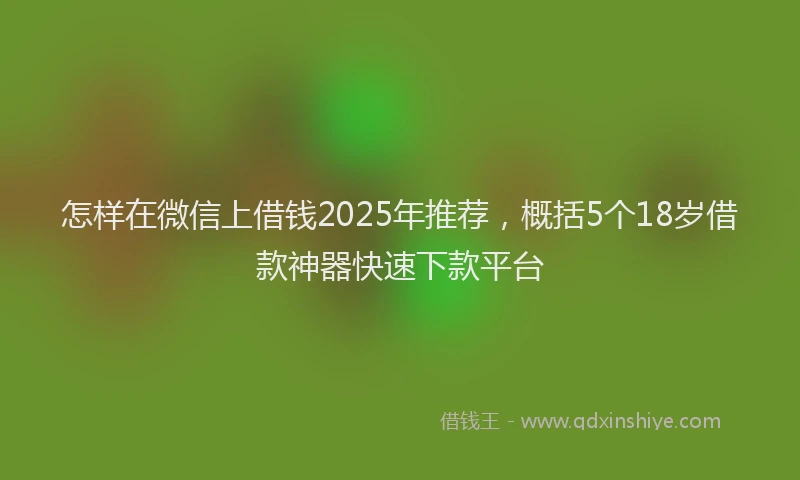 怎样在微信上借钱2025年推荐，概括5个18岁借款神器快速下款平台