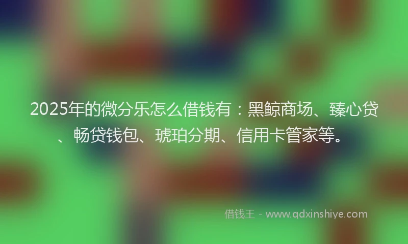 2025年的微分乐怎么借钱有：黑鲸商场、臻心贷、畅贷钱包、琥珀分期、信用卡管家等。