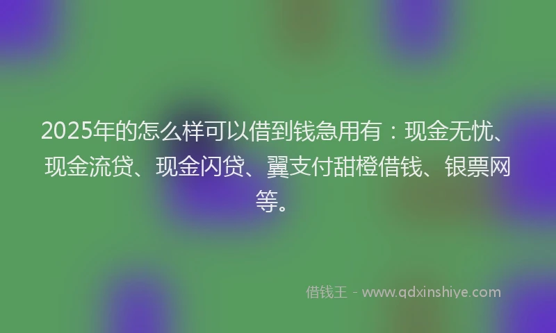 2025年的怎么样可以借到钱急用有：现金无忧、现金流贷、现金闪贷、翼支付甜橙借钱、银票网等。
