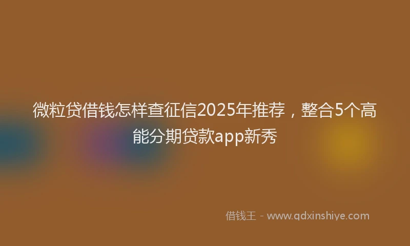 微粒贷借钱怎样查征信2025年推荐，整合5个高能分期贷款app新秀